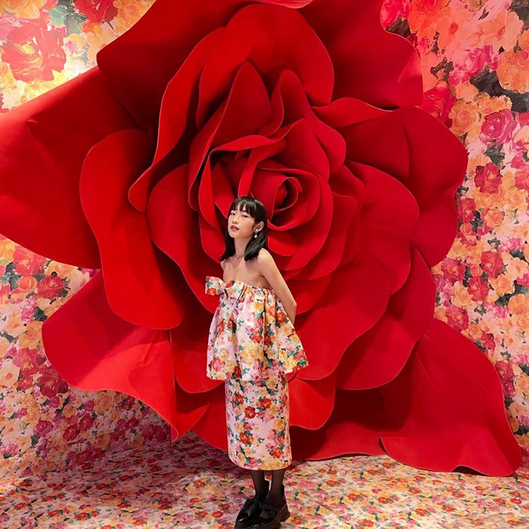 وشال گلاب کے پس منظر کے پروپس