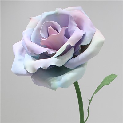 آؤٹ ڈور وشال ایوا روز سجاوٹ کے سہارے