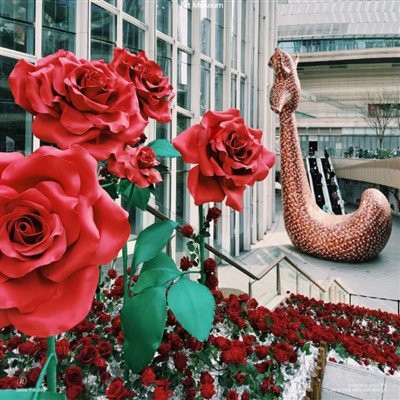 ویلنٹائن ڈے پیپر پھول